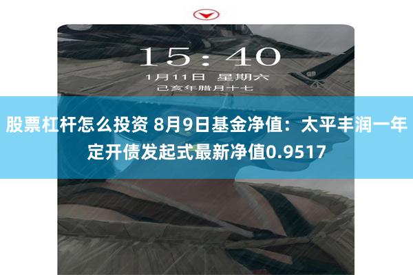 股票杠杆怎么投资 8月9日基金净值：太平丰润一年定开债发起式最新净值0.9517