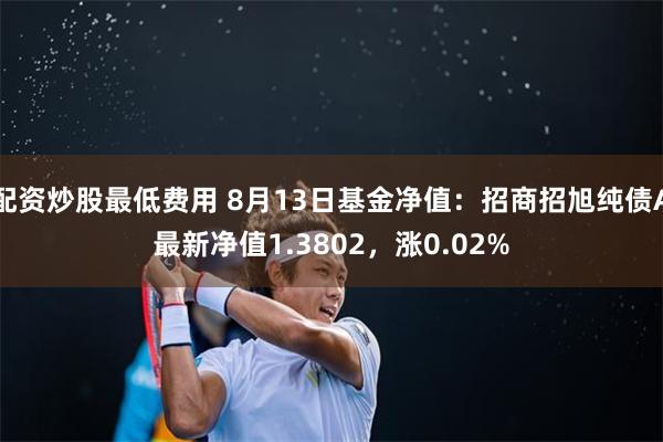 配资炒股最低费用 8月13日基金净值：招商招旭纯债A最新净值1.3802，涨0.02%