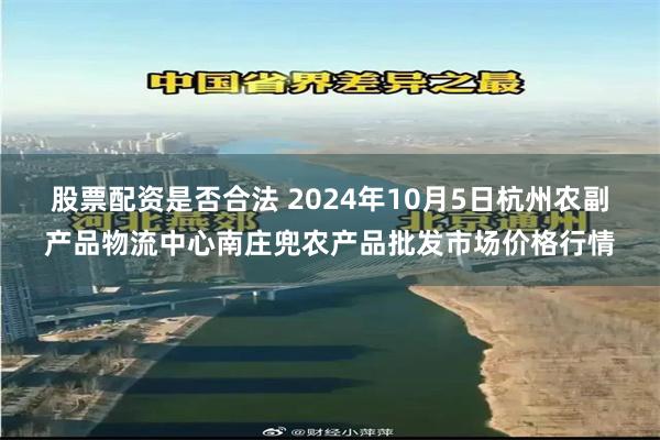 股票配资是否合法 2024年10月5日杭州农副产品物流中心南庄兜农产品批发市场价格行情