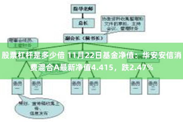 股票杠杆是多少倍 11月22日基金净值：华安安信消费混合A最新净值4.415，跌2.47%