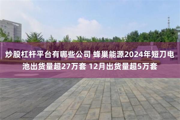 炒股杠杆平台有哪些公司 蜂巢能源2024年短刀电池出货量超27万套 12月出货量超5万套