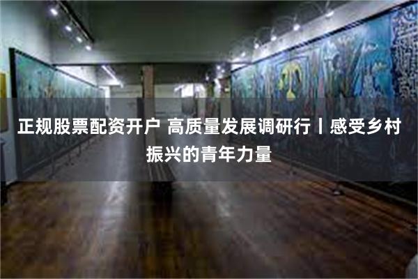 正规股票配资开户 高质量发展调研行丨感受乡村振兴的青年力量