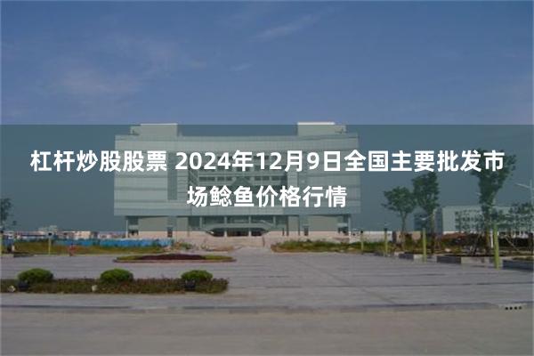 杠杆炒股股票 2024年12月9日全国主要批发市场鲶鱼价格行情