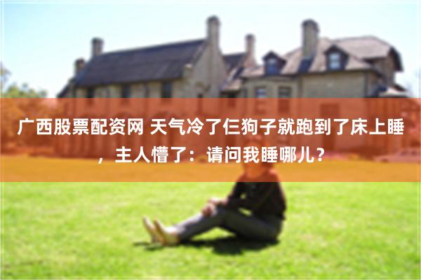 广西股票配资网 天气冷了仨狗子就跑到了床上睡，主人懵了：请问我睡哪儿？