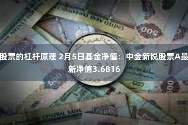 股票的杠杆原理 2月5日基金净值：中金新锐股票A最新净值3.6816