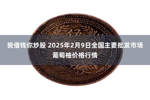 我借钱你炒股 2025年2月9日全国主要批发市场葡萄柚价格行情